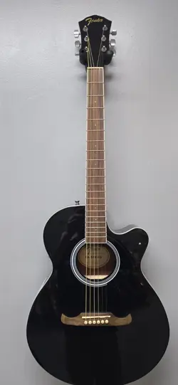 GUITAR D1