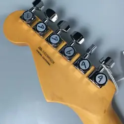 STRATOCASTER TIGER'S