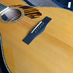 FENDER PS-220E PARLOR ACOUSTIC GUITAR WITH HARD CASE FROM JAPAN