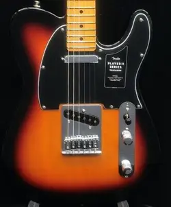 SUNBURST MAPLE- MX24029440