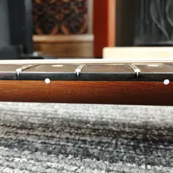 ACOUSTASONIC ST ELECTRIC