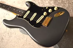 DUAL-MAG STRATOCASTER JOURNEYMAN
