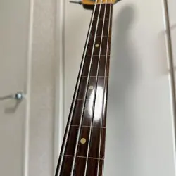 MODEL FRETLESS