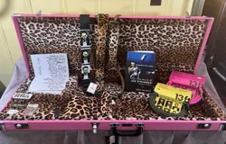 STRUMMER STRAT/TELE CASE