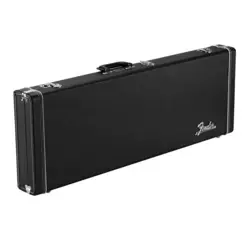 CASE FOR STATOCASTER