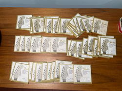 FENDER MASTERSOUND NICKEL