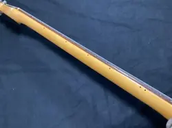 JAGUAR/3-COLOR SUNBURST JAGUAR