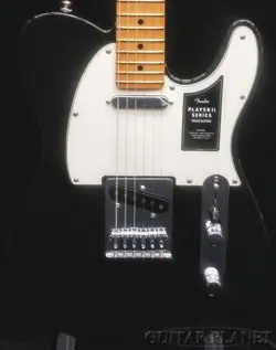 MAPLE- MX24026331 3.67KG