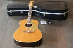 12-STRING ACOUSTIC/ ELECTRIC