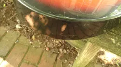 TELECASTER DELUXE SERIES