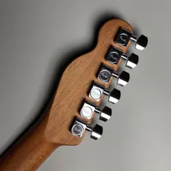 TELECASTER ALL-MAHOGANY EBONY