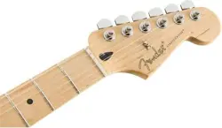 SERIES STRATOCASTER TIDEPOOL