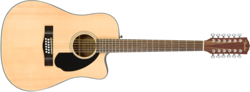 12 STRING CUTAWAY