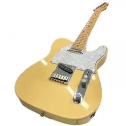 FENDER USA ELECTRIC GUITAR AMERICAN STANDARD TELECASTER *HOL932