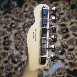 COLLECTION TELECASTER SHORT