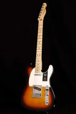 SUNBURST MAPLE MX22263614