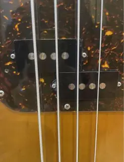 BASS SUNBURST SERIAL