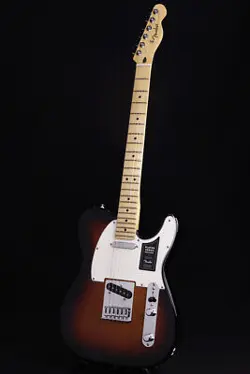 SUNBURST MAPLE MX23003488