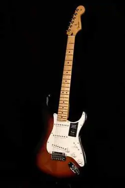 SUNBURST MAPLE MX22118039