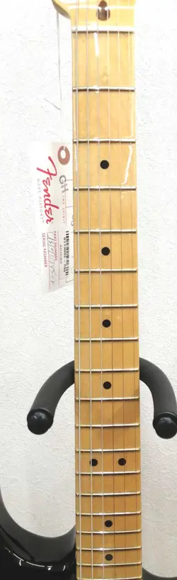 STD STRATOCASTER ELECTRIC