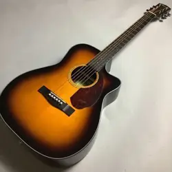 FENDER CC-140SCE SB WC