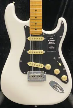 WHITE MAPLE- MXS24021073