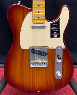 -SIENNA SUNBURST- US22089598