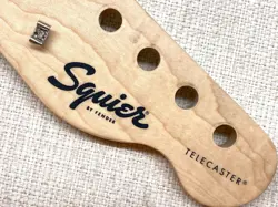 INDIAN LAUREL ELECTRIC