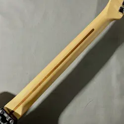 STAIN TELECASTER 2012