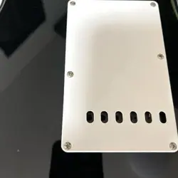 FENDER JAPAN STRATOCASTER FUJIGEN