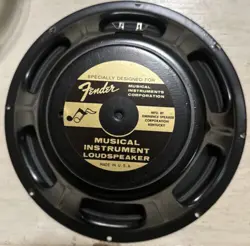 FENDER SPECIAL DESIGN 12