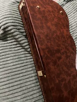 TELECASTER POODLE GUITAR