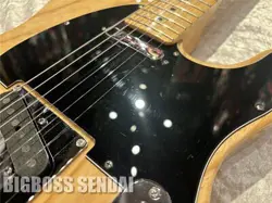 FENDER AMERICAN STANDARD TELECASTER/