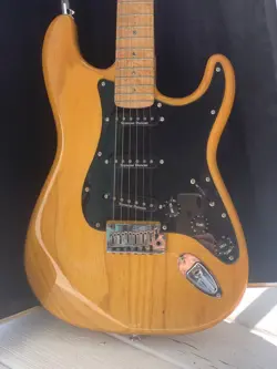 PICKUPS BIRDSEYE MAPLE