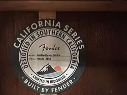 FENDER MALIBU PLAYER SB WN ECO