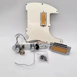 LOADED PICKGUARD 24100