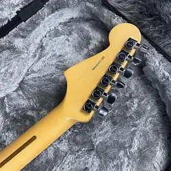 ALDER BODY W/HARDCASE