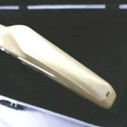 RARE FENDER RITCHIE BLACKMORE STRATOCASTER MODEL