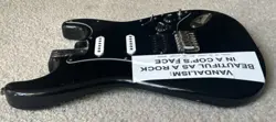 VANDALISM STRATOCASTER
