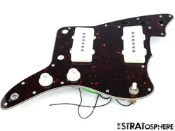 PICKGUARD ALNICO TORTOISE.