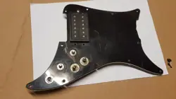 PICKGUARD PICKUP