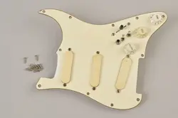 SENSOR PICKUPS STRAT