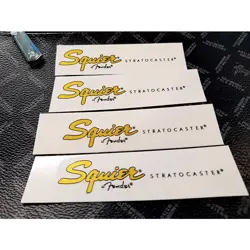 SQUIER GUITAR WATERSLIDE