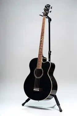 FENDER ACOUSTIC-ELECTRIC BASS