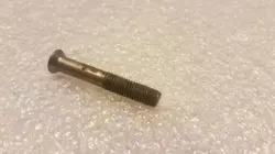 PLATE SCREW