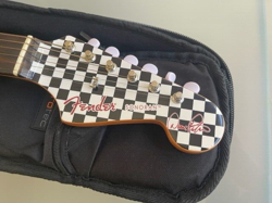 SERIES ELECTRIC ACOUSTIC