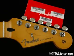 MODERN SHAPED MAPLE!