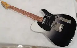 FENDER PLAYER PLUS TELECASTER PAU FERRO SILVER SMOKE #GG97S