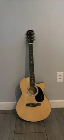 ACOUSTIC GUITAR (FENDER)   CASE