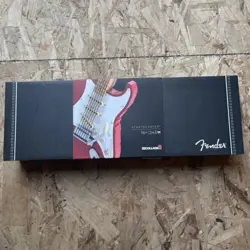 FENDER STRATOCASTER MEGA COLLABS